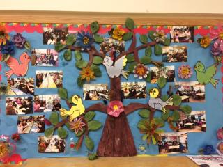 Bulletin board with paper tree surrounded by pictures of students